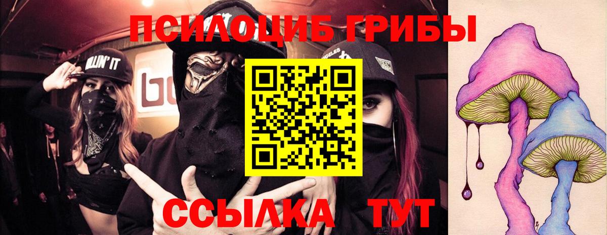 Галлюциногенные грибы Psilocybine cubensis Мелеуз